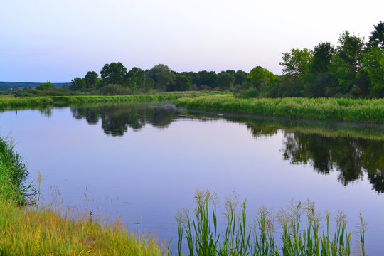 Bright sunset at Schara, river in Belarus, purple-pink clouds,green grass and trees and the reflection in the water