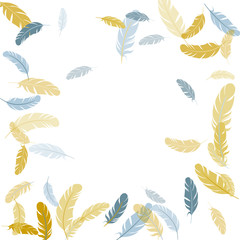 Falling feather elements soft vector design.