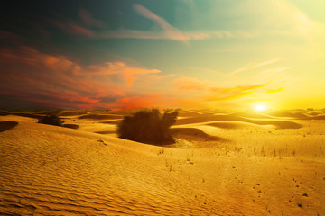 sunset in the desert