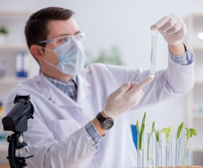 Male biochemist working in the lab on plants