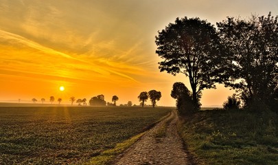 brukowana droga © Piotr