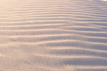 Sand dunes and ripples in the desert on a clear, sunny day