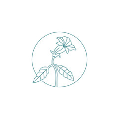 aromatherapy flower collection logo template