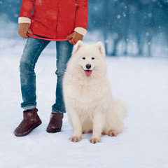 Owner holding young white Samoyed dog on leash outdoors in winter park