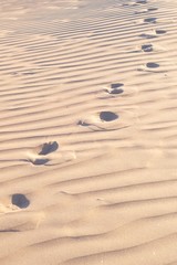 Fototapeta na wymiar Foot tracks on the desert sand on a clear, sunny day