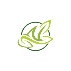 Organic leaf  logo vector template