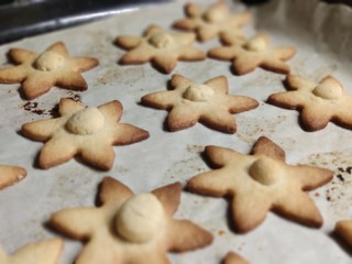 Fototapeta na wymiar food, cookie, christmas, sweet, cookies, biscuit