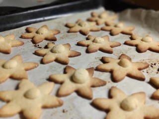 food, cookie, christmas, sweet, cookies, biscuit