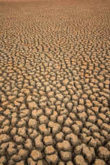 Rachada Stock Photos And Royalty Free Images Vectors And Illustrations Adobe Stock