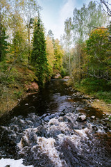 river in the forest on a cloudy day