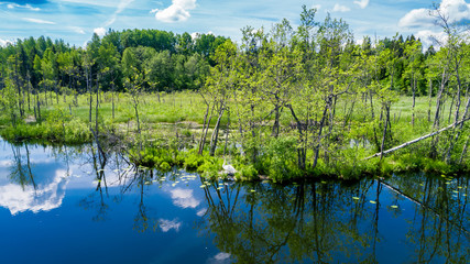 Fototapeta premium Summer landscape, green forest and blue lake from above..