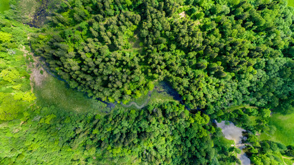 Summer landscape, green forest from above.