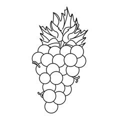 flat design of bunch of grapes icon