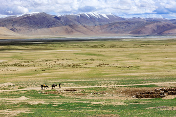 landscape in the mountains (Tsokar lake)