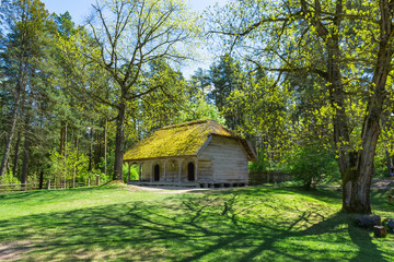 Fototapeta premium Vintage countryside log house with the yard on a sunny summer day.