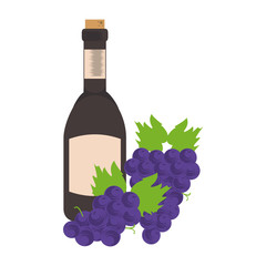 bunch of grapes and bottle of wine icon