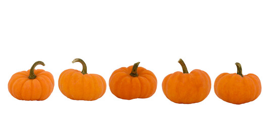 Five Halloween Pumpkins isolated on white background. Whole pumpkins from different shape. Banner with pumpkins. Halloween.  Fresh orange miniature pumpkins isolated on white background.