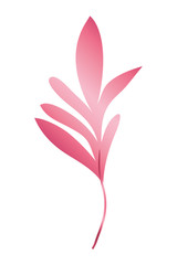 branch with leafs pink decorative icon
