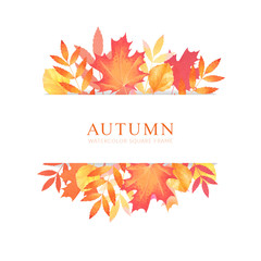 Fall frame with seasonal colored autumn maple, birch tree leaves.  Seasonal watercolor illustration.