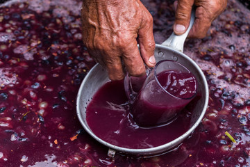 Winemaker's hand with a glass mug, picking up juice from grape must. Wine material, stum, maun....