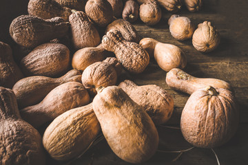 Autumn Pumpkin Thanksgiving and Halloween Background - orange pumpkins over wooden table. Toned Image.