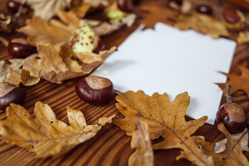 Autumn leaves, chestnuts and blank paper with space for text.