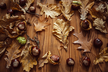 Top view of a composition of oak and maple leaves, ripe chestnuts on a brown wooden board. Autumn mood.