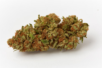 Close up macro of medical and recreational Strawnana strain marijuana bud natural light grown on white background 