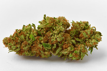 Close up macro of medical and recreational Strawnana strain marijuana bud natural light grown on...