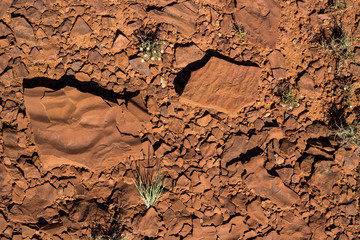 Earth Tone and Texture