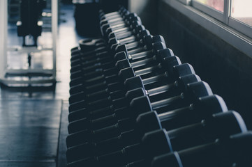 Fototapeta premium Dumbbells in many sizes, weights Set for exercising in the fitness center, exercise concept, health concept, close-up images.