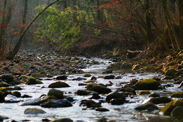 Beautiful landscape. A picturesque stream flows through the autumn forest among small stones.