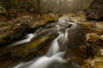 Beautiful landscape. A picturesque stream flows through the autumn forest among small stones.