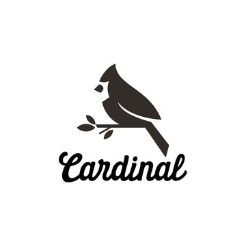 cardinal bird, red cardinal, song bird logo ilustration