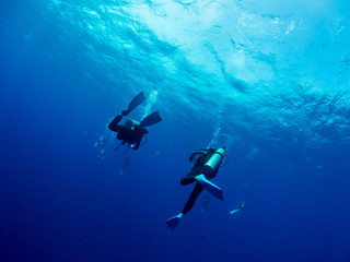 パラオ_ペリリュー_スキューバダイビング