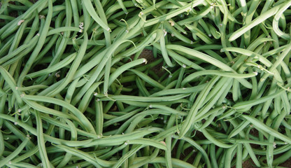 Close-up full frame view of freshly harvested organic French green beans displayed at a market stand