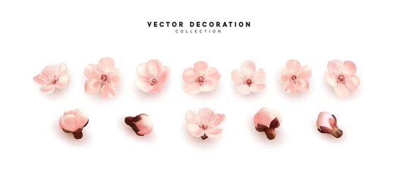 Fototapete Blumen Blume, die gegen isoliert auf weißem Hintergrund blüht. Blühende Blütenknospen. Design von realistischen rosa Blütenknospen.