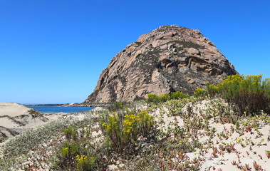 Morro Rock from Morro Bay Island