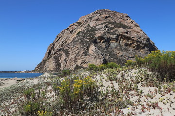Morro Rock from Morro Bay Island