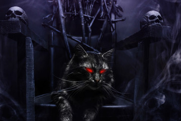 Fototapeta na wymiar Horror possessed evil cat on witch throne made of branches.