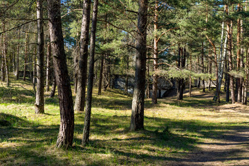 Old abandoned ruins of fortress in the forest, in Latvia.