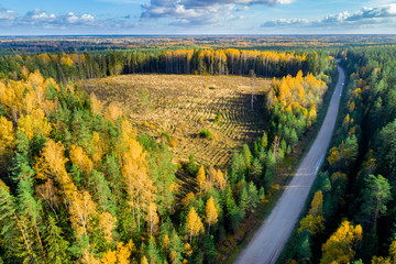 Aerial view of forest during  colourful autumn season.