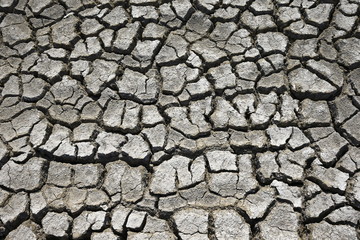 Climate warming dry chapped land