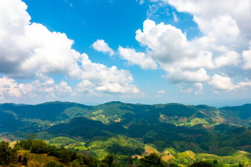Obraz premium The mountain view with green forest with the blue sky and white cloud in the sunny day. 
