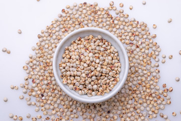 Uncooked raw Sorghum (also known as sorgo) in a white bowl, isolated on white background