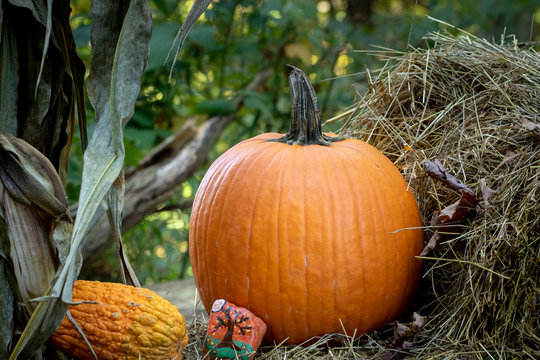 close up of fall decoration, pumpkin hay bail and corn stocks