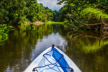 Kayak in the Florida waters