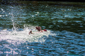 Person swims on a lake