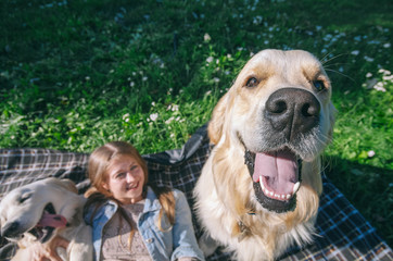selective focus beautiful girl hugs two golden retriever and smiling sitting on a meadow