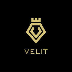 initial letter of the V logo icon, inspiring logo designs for companies Vector